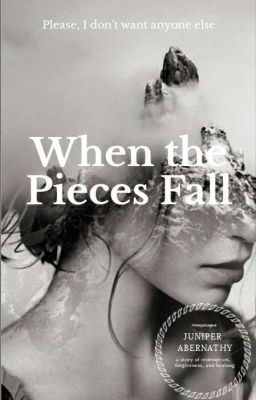 When The Pieces Fall