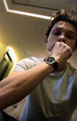Roommates (Tom Hollandxreader) COMPLETED