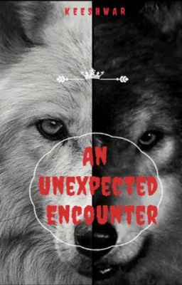 AN UNEXPECTED ENCOUNTER