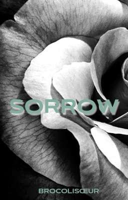 Sorrow | 18+