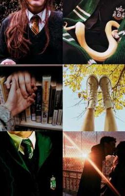 (Draco X Reader)The Slytherin's beloved Hufflepuff 