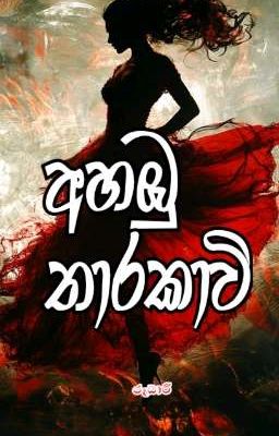 අහඹු තාරකාවි | Sinhala Story  by Roodhari