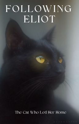 Following Eliot: The Cat Who Led Her Home || ONC2026 by DCVbookfan